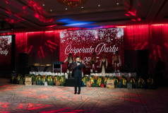 Ливиу Гулька