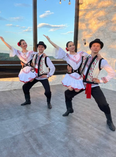 Шоу Балет Фламинго