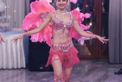 Шоу Балет Фламинго