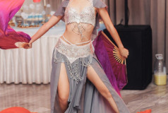 Шоу Балет Фламинго