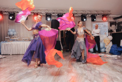 Шоу Балет Фламинго