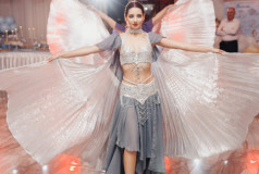 Шоу Балет Фламинго