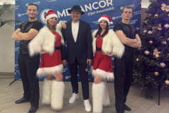 Шоу Балет Фламинго