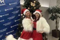 Шоу Балет Фламинго