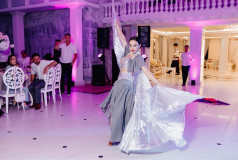 Шоу Балет Фламинго