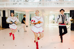 Шоу Балет Фламинго