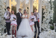 Шоу Балет Фламинго