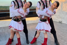 Шоу Балет Фламинго