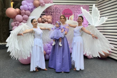 Шоу Балет Фламинго