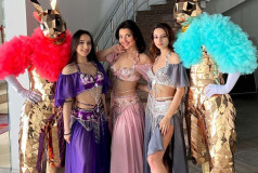 Шоу Балет Фламинго