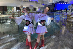 Шоу Балет Фламинго