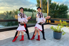 Шоу Балет Фламинго