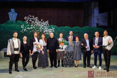 Раду Киокиу