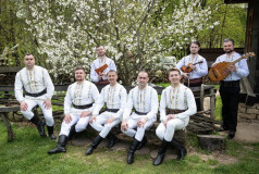 Ansamblu vocal-instrumental de cântece populare