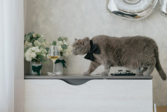 Сергей Котруцэ