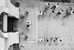 Сергей Котруцэ