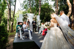 Виорел Булига